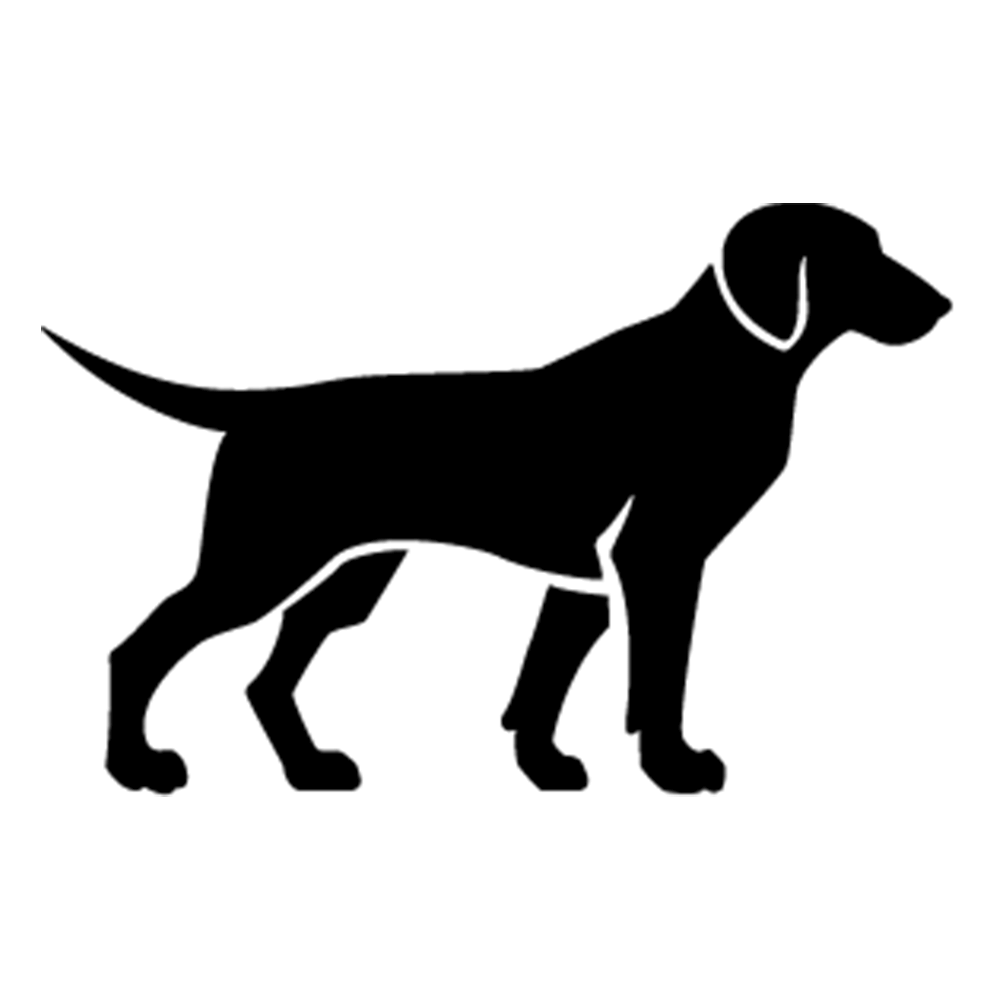 Belloday Blog Ferien mit Hund